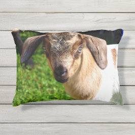 Almofada Para Ambientes Externos Cabra adorável do bebê
