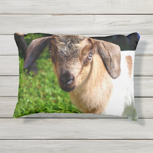 Almofada Para Ambientes Externos Cabra adorável do bebê (Verso)