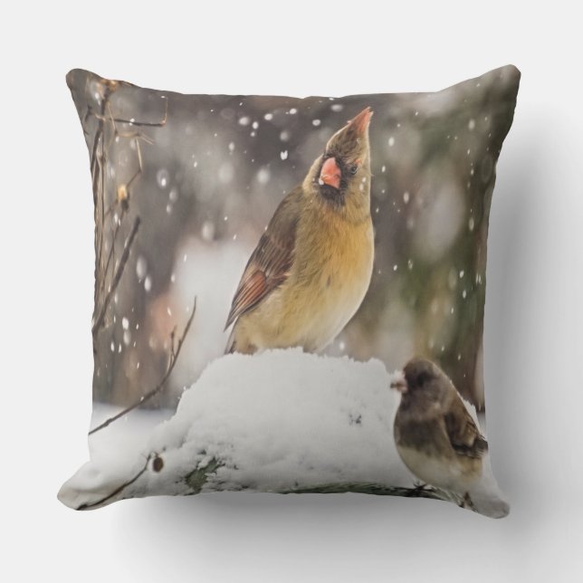Almofada Para Ambientes Externos Cardeal E Sparrow Na Neve (Frente)