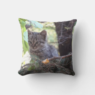Almofada Para Ambientes Externos Coxim bonito do lance da foto do gatinho