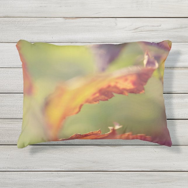 Almofada Para Ambientes Externos Folgas no vento (Frente)