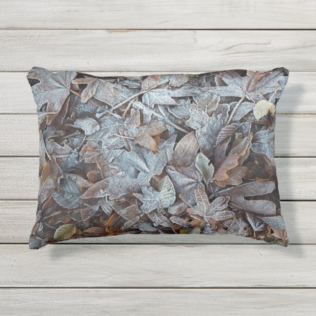 Almofada Para Ambientes Externos Folhas de outono congeladas (Frente)