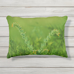 Almofada Para Ambientes Externos Fotografia de planta selvagem verde