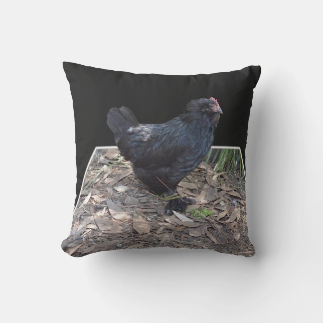 Almofada Para Ambientes Externos Frango Fluffy Negro, (Frente)