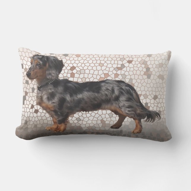 Almofada Para Ambientes Externos Os Dachshunds de Eridox longhair dapple o (Frente)