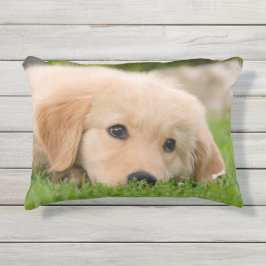 Almofada Para Ambientes Externos Ouro Retriever Cute Puppy Sonha Cabeça de Cachorro