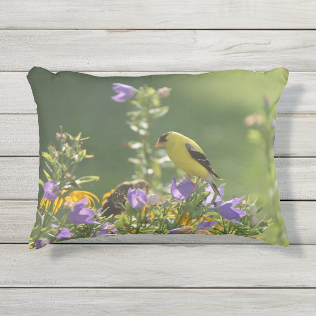 Almofada Para Ambientes Externos Pintassilgo em uma Flor de Campainha (Frente)