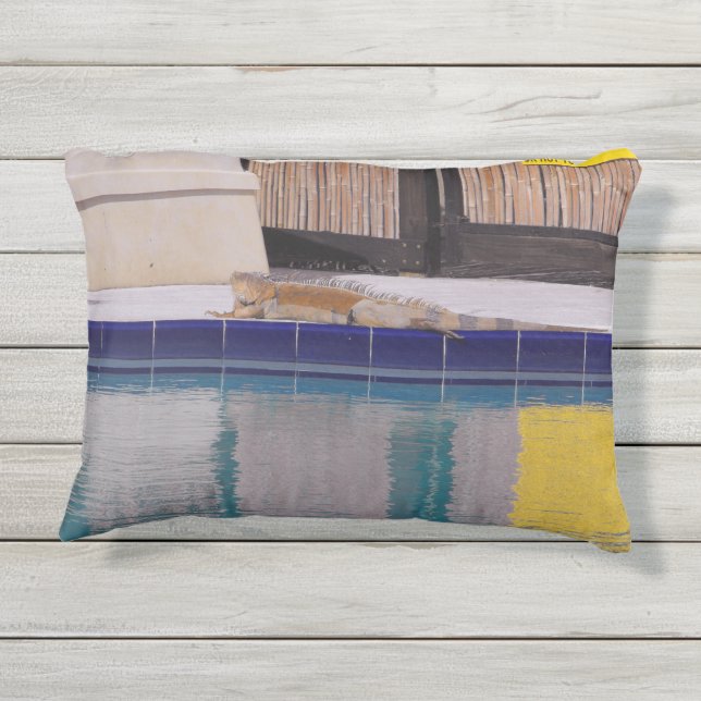Almofada Para Ambientes Externos Piscina do Iguana (Verso)