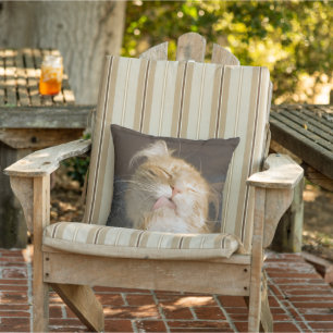 Almofada Para Ambientes Externos Preening Maine Coon Close Fotografia