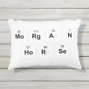 Almofada Para Ambientes Externos Travesseiro do cavalo de Morgan