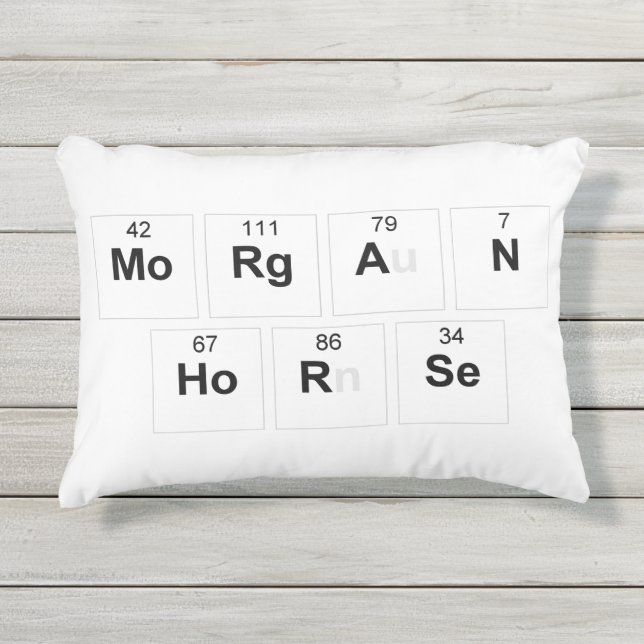 Almofada Para Ambientes Externos Travesseiro do cavalo de Morgan (Frente)