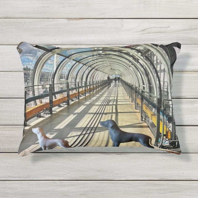 Almofada Para Ambientes Externos Travesseiro Puppidou (Frente)