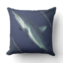 Tubarão-recife cinza