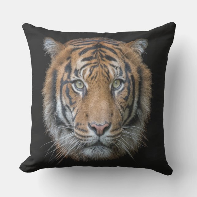 Almofada Para Ambientes Externos Um Tigre Bengal (Frente)