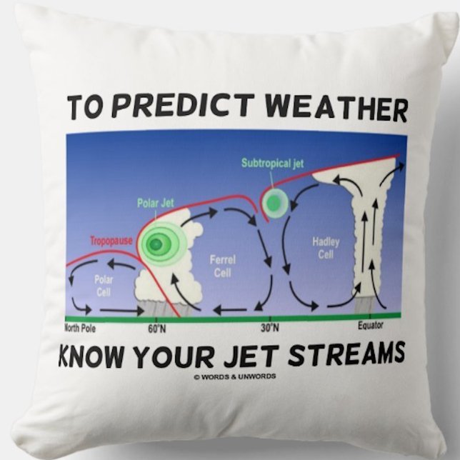 Almofada Para Prever O Tempo Saber Seus Fluxos De Jato (Earth scientists & atmospheric scientists will enjoy this meteorological attitude throw pillow)