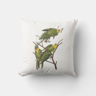 Almofada Parakeet de Carolina por Audubon