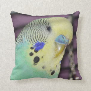 Almofada Parakeet masculino de Budgie/