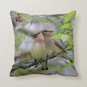 Almofada Pares de Waxwings de cedro