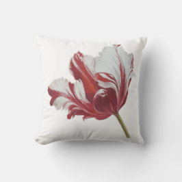 Almofada Parrot Tulip 10x 