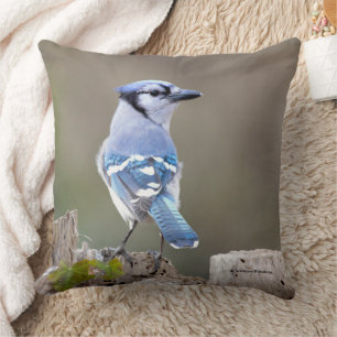 Almofada Passarinho azul de jay em Treestump