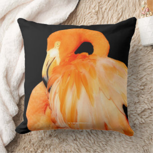 Almofada Pássaro Balado Flamingo Elegante no Sol de Verão