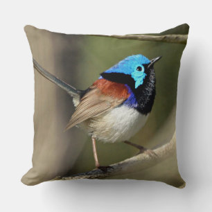 Almofada Pássaro - Fairywren Variado