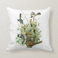 Pássaros de zombaria de John James Audubon do