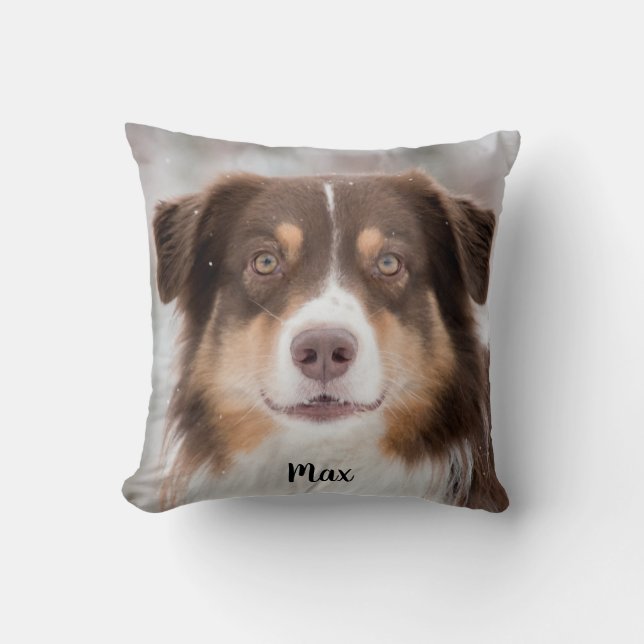 Almofada Pastor australiano de chocolate (Frente)