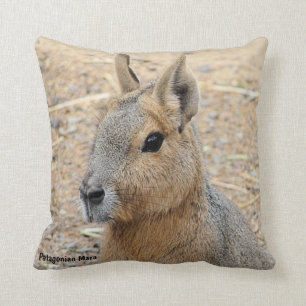 ALMOFADA PATAGONIAN MARA WILD ANIMAL