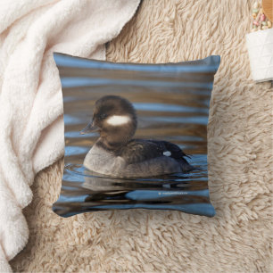 Almofada Pato doce do Bufflehead em águas Sunlit