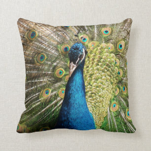 Almofada Pavão Azul Real