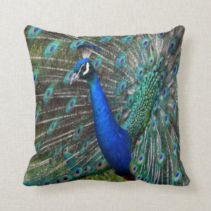 Almofada Pavão masculino colorido