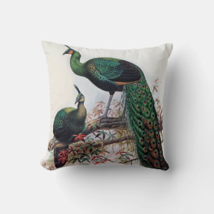 Almofada Peacock, pafowl verde pavo muticus 1872 ...