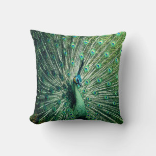 Almofada Peacock Strut