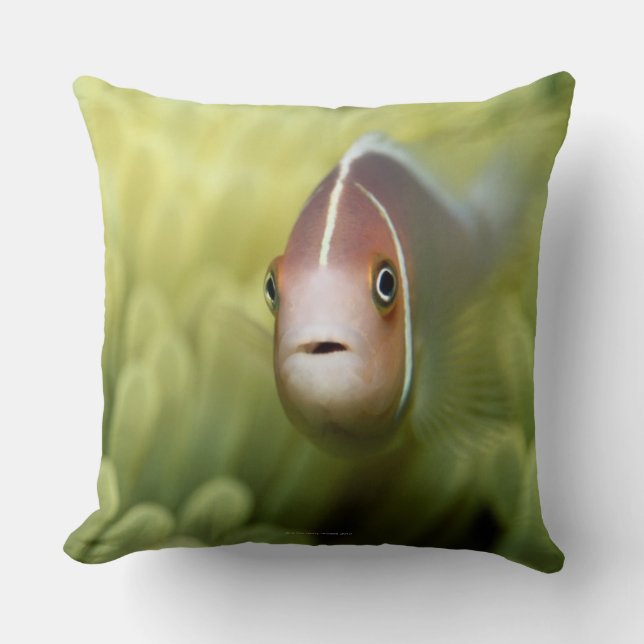 Almofada Peixes de anêmona cor-de-rosa (Frente)