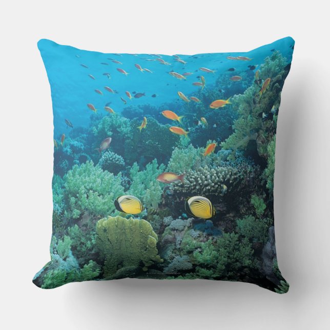 Almofada Peixes tropicais que nadam sobre o recife (Frente)