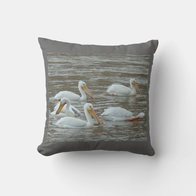 Almofada Pelicanos Brancos B16 no Rio Lamacento (Frente)