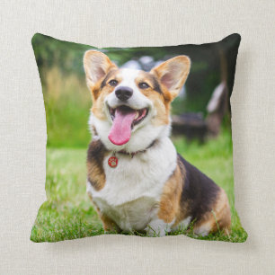Almofada Pembroke De Três Cães De Papoilas De Galsh Corgi