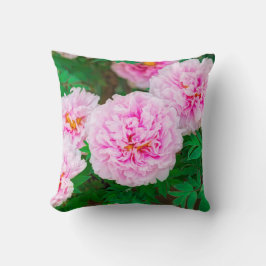Almofada peony in Japanese garden
