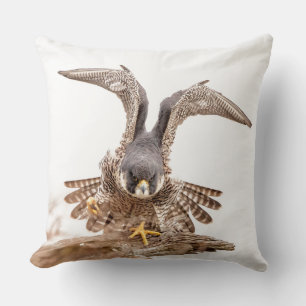 Almofada Peregrine Falcon