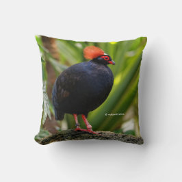 Almofada Perfil de um Partucho de Madeira Deitada em Rota R