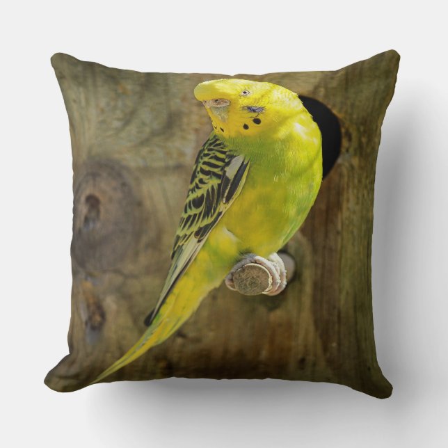 Almofada Periquito Amarelo bonito (Frente)
