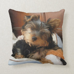Almofada Personalidade e Yorkie