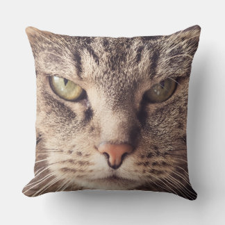 almofada personalizada de gato