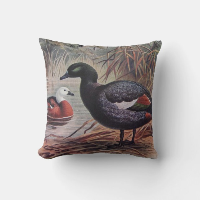 Almofada Personalize o Vintage Paradise Shelduck (Frente)