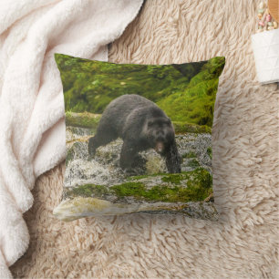 Almofada Pescaria de Urso Negro Qua Creek Colúmbia Britân