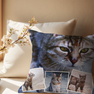 Almofada Pet Cat Memorial 4 Imagem Colagem e Cotação