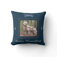 Pet Memorial - Memórias Perfeitas Elegantes