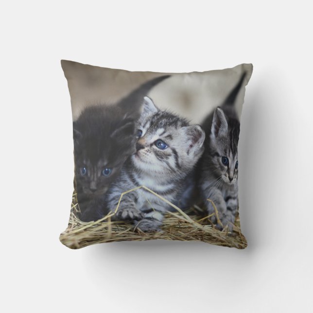 Almofada Pet Personalizado (Frente)