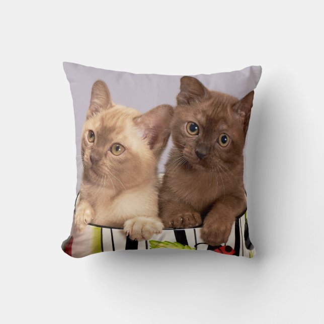Almofada Pet Personalizado (Frente)